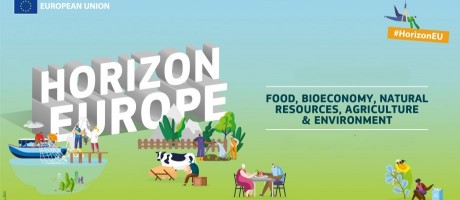 Jornada informativa sobre el Clúster 6