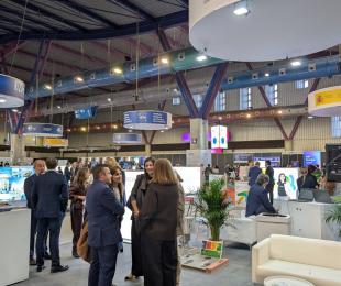 Foto Transfiere 26 3